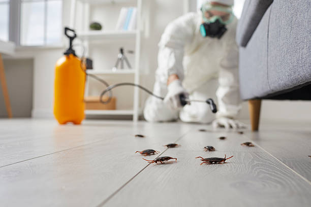 Commercial Kitchen Cockroach Control in Atlantic Beach